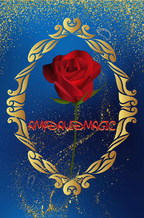 AmyDavidMagic